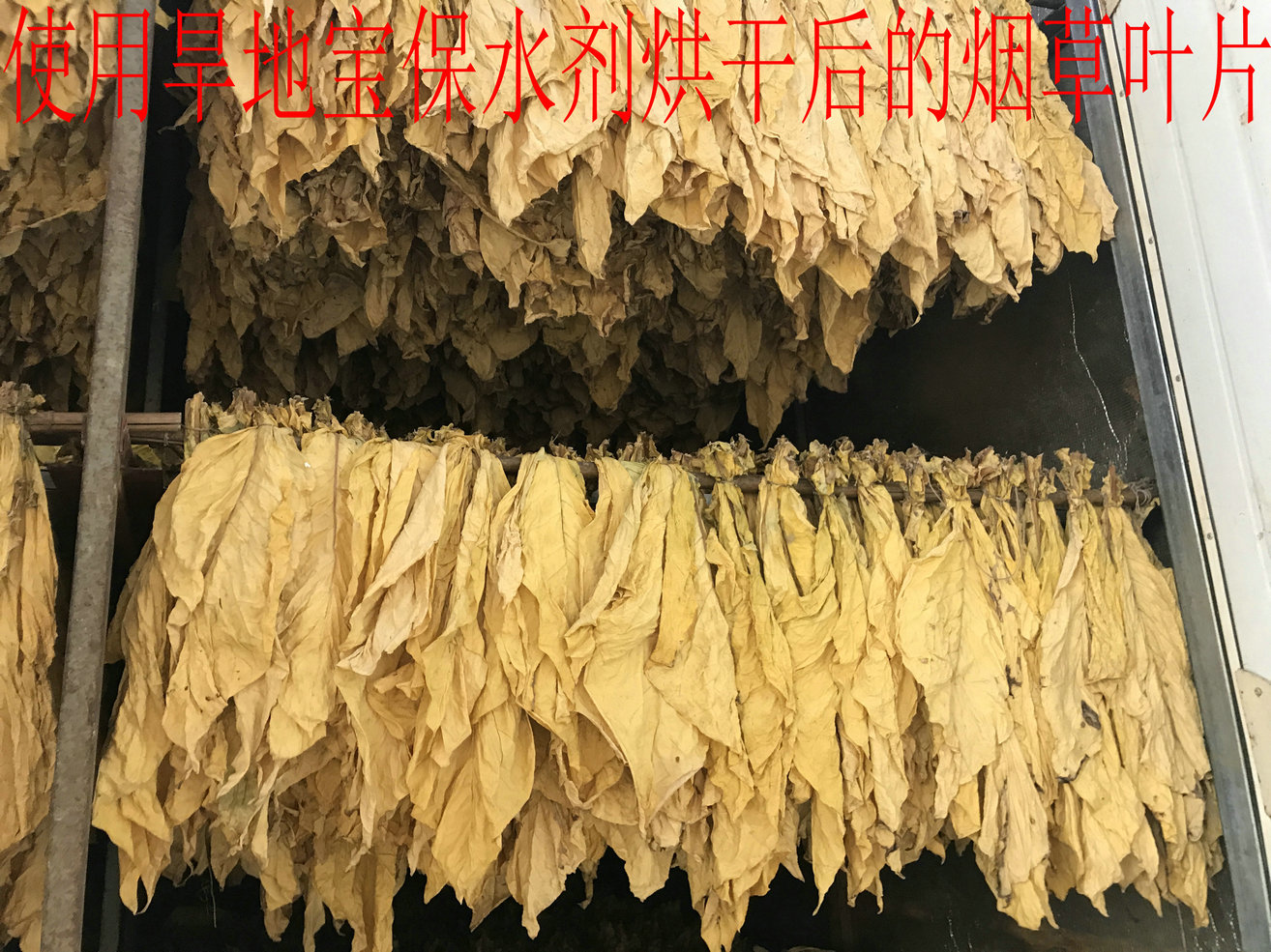 微信图片_20170720105620.jpg