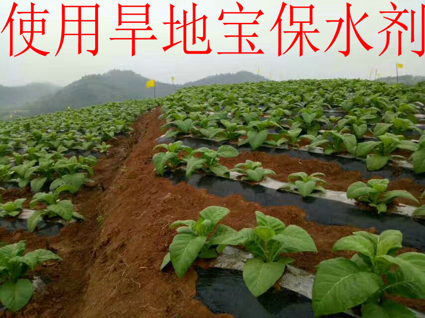 微信图片_20170609154937.jpg